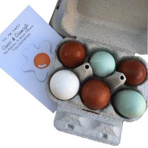 Cestino uova multi colore